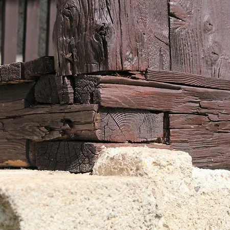 Dom wakacyjny Levandula