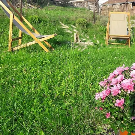 Levandula