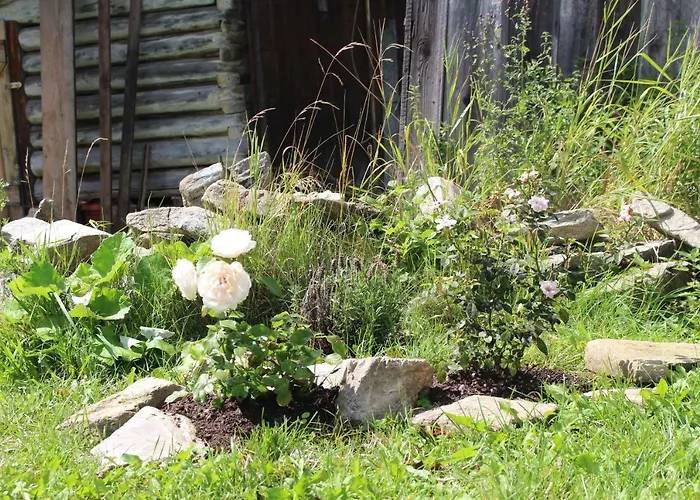 Levandula Királyhegyalja